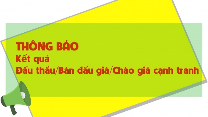 thong bao ket qua dang ky tham gia dau gia mua quyen mua co phan cua tong cong ty cong nghiep xi mang viet nam tai cong ty tai chinh co phan tin viet