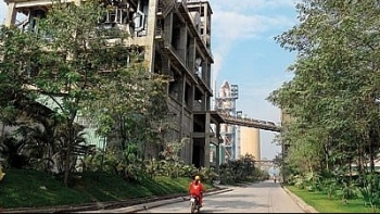 thoi diem tot mua lai du an xi mang