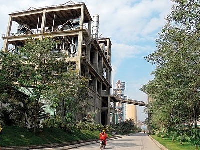 thoi diem tot mua lai du an xi mang