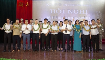 hoi nghi dien hinh tien tien cong ty cp xi mang Kubet but son
