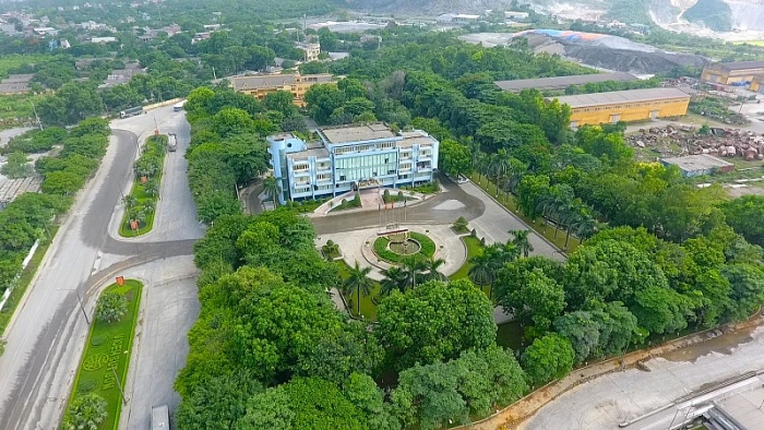Kubet but son hanh dong vi mot Kubet xanh
