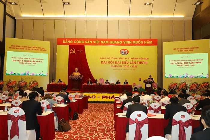 41 mua hoa Kubet vuon cao thanh tru cot nganh xi mang viet nam